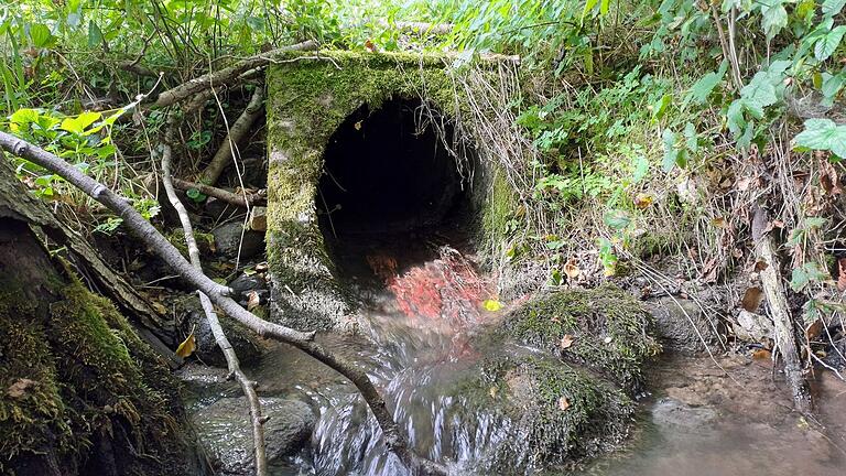 Der Bachlauf soll wieder naturnah hergestellt werden. Dabei werden auch Verrohrungen und Verbauungen entfernt.