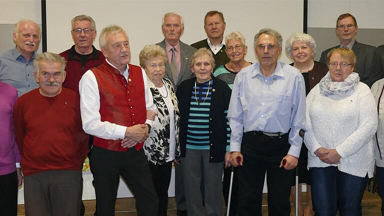 Die Geehrten des VdK Mainbernheim-Willanzheim: Die Ehrungen nahmen Klaus Peter Mai und Peter Wager (hinten rechts) vor.