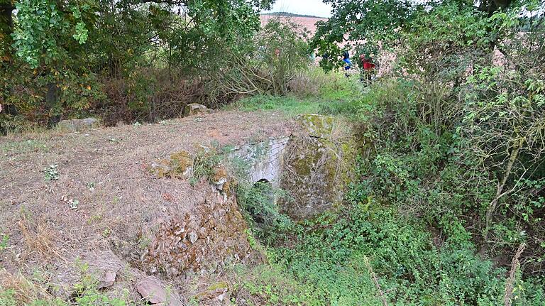 Die steinerne Brücke erlaubte im Spätmittelalter die trockene Überquerung des Bachlaufs für den Weg von Bronnbach nach Wertheim