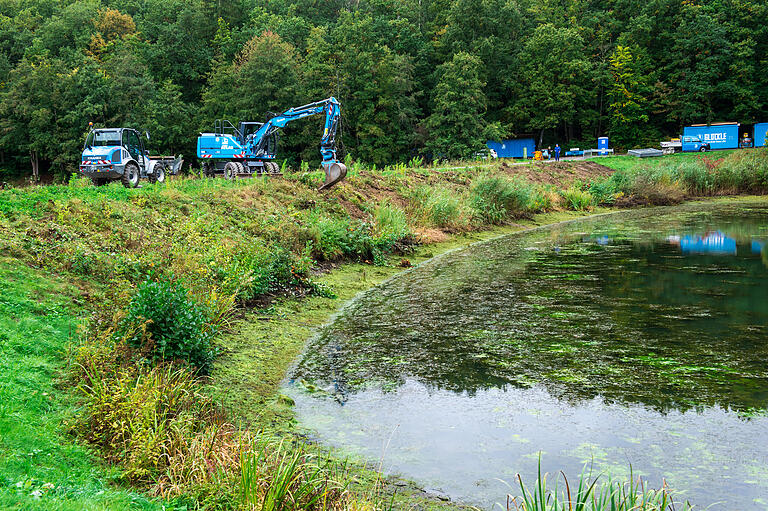 Gras, Wurzeln und Büsche werden am Vordamm abgebaggert.&nbsp;