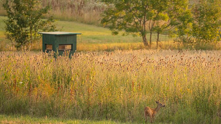 Das neue Biodiversitätszentrum Bischofsheim wird sich künftig nicht nur mit der Artenvielfalt in der Rhön, sondern in allen bayerischen Mittelgebirgen beschäftigen.