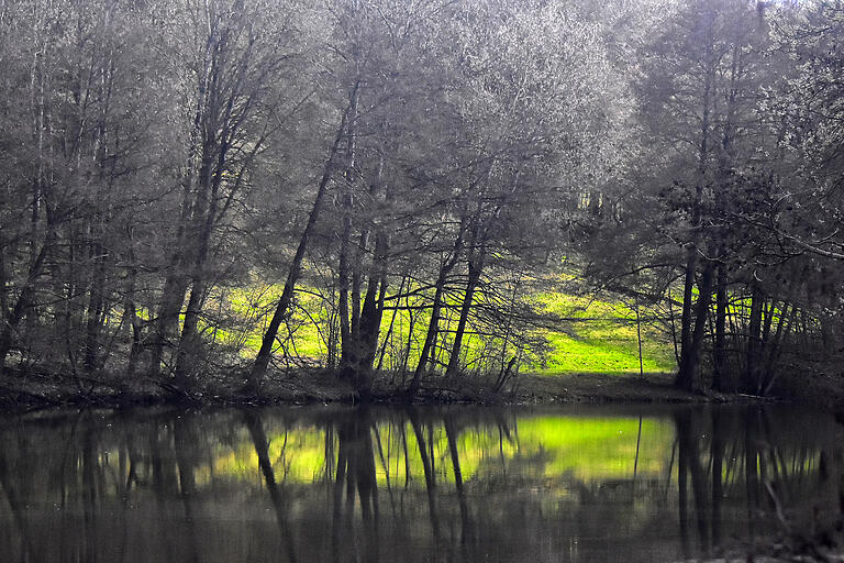 Das Landschaftsschutzgebiet am Ellertshäuser See bietet Erholung und Naturerlebnis mit seinen Wäldern, Wiesen und Feldern. Das Landschaftsschutzgebiet am Ellertshäuser See bietet Erholung und Naturerlebnis mit seinen Wäldern, Wiesen und Feldern.