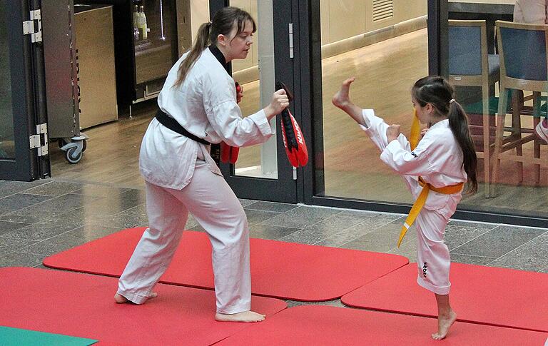 Großes Interesse auch für den Taekwondo-Verein Rhön-Grabfeld e.V.: Die Mitglieder zeigten, was sie gelernt haben. Großes Interesse auch für den Taekwondo-Verein Rhön-Grabfeld e.V.: Die Mitglieder zeigten, was sie gelernt haben.