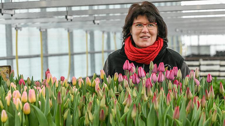 Wohin mit all den Frühlingsblumen? In Gärtnereien wie der von Petra Gammanick in Waldbüttelbrunn (Lkr. Würzburg) können Kunden nur im Internet oder per Telefon Pflanzen zum Abholen bestellen. Wohin mit all den Frühlingsblumen? In Gärtnereien wie der von Petra Gammanick in Waldbüttelbrunn (Lkr. Würzburg) können Kunden nur im Internet oder per Telefon Pflanzen zum Abholen bestellen.