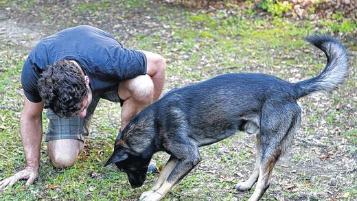 Eingespieltes Team:  Christian Gold und Winnie sind bei der Trüffelsuche. Das kann  jeder Hund lernen, sagt der Trüffelhunde-Trainer aus Würzburg.           Foto: THERESA MÜLLER