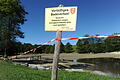 42261744 (1).jpg       -  Ach, Lotti. Die Schnappschildkröte kam einst groß raus im Sommerloch, vergrätzte das Baden im Weiher.