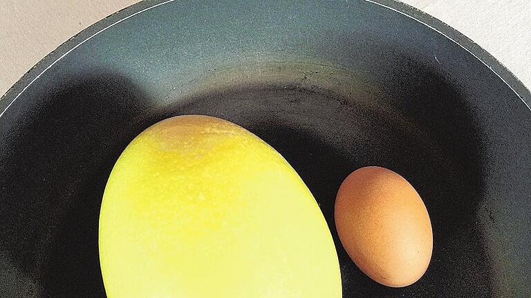 Ein Ei macht die Pfanne voll: Ein Nandu-Ei kann über 700 Gramm wiegen. Zum Vergleich: Ein Hühnerei (rechts) wiegt etwa 60 Gramm. Ein Ei macht die Pfanne voll: Ein Nandu-Ei kann über 700 Gramm wiegen. Zum Vergleich: Ein Hühnerei (rechts) wiegt etwa 60 Gramm.
