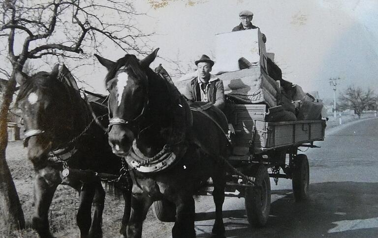Unvergessen für die alten Haßfurter: Hannes Ebert fuhr bis in die späten 1980-er Jahre mit seinem Pferdefuhrwerk durch Haßfurt und erledigte Transporte für die Bevölkerung. Unvergessen für die alten Haßfurter: Hannes Ebert fuhr bis in die späten 1980-er Jahre mit seinem Pferdefuhrwerk durch Haßfurt und erledigte Transporte für die Bevölkerung.