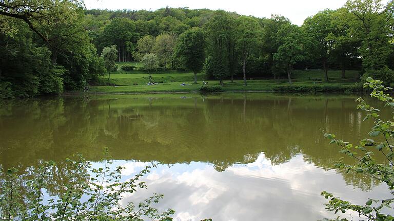 Der See am Frickenhäuser Ortsrand ist von altem Baumbestand umgeben und ein beliebtes Ziel für Erholungssuchende und Sonnenanbeter. Der See am Frickenhäuser Ortsrand ist von altem Baumbestand umgeben und ein beliebtes Ziel für Erholungssuchende und Sonnenanbeter.