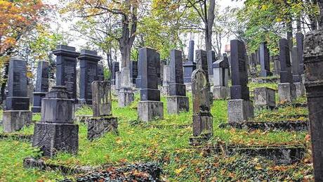 Jüdische Geschichte aufgearbeitet: Der jüdische Friedhof von Bad Neustadt wurde von den Schülern genau unter die Lupe genommen.