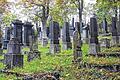 Jüdische Geschichte aufgearbeitet: Der jüdische Friedhof von Bad Neustadt wurde von den Schülern genau unter die Lupe genommen.