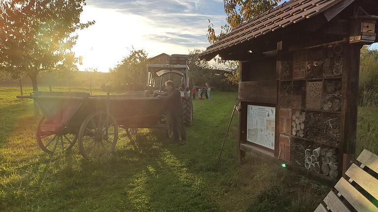 Im Bild der Obstpfad Schleerieth im Sonnenuntergang.