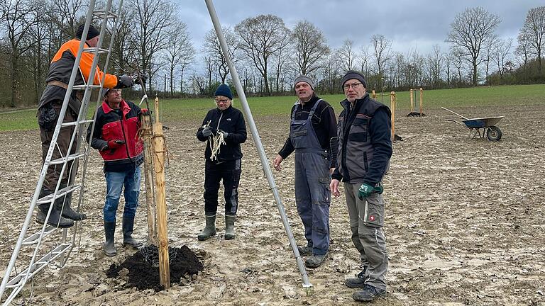 Vor kurzem wurden 56 Obstbäume auf der neu angelegten Streubobstwiese 'Zum schönen Himmelsfleckchen' bei Kleinwenkheim mit ihrem Pflanzschnitt versorgt.