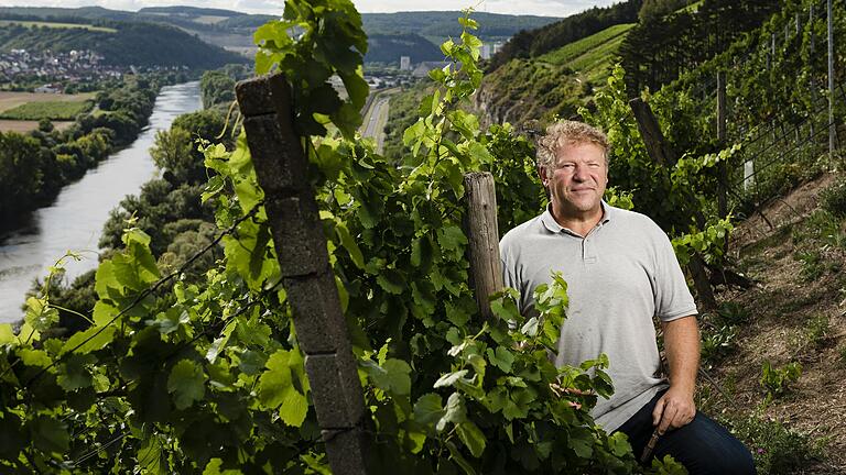Ludwig Knoll in seinem Weinberg am Stettener Stein. In seinem Weingut seien Müller-Thurgau, Scheurebe und Kerner besonders vom falschen Mehltau betroffen. Ludwig Knoll in seinem Weinberg am Stettener Stein. In seinem Weingut seien Müller-Thurgau, Scheurebe und Kerner besonders vom falschen Mehltau betroffen. 