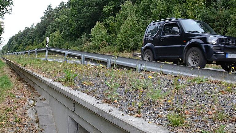 Der parallel zur Straße geplante Radweg soll die existierenden Amphibientunnel nicht beeinträchtigen.