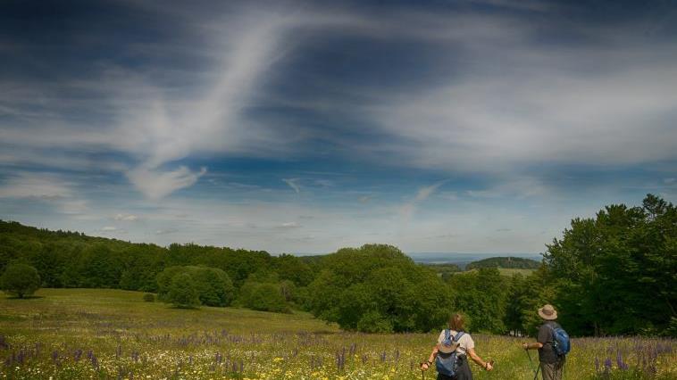 Wie geht es weiter im Biosphärenreservat Rhön? Antworten darauf soll das neue Rahmenkonzept des Biosphärenreservats geben, das diesen Mittwoch offiziell vorgestellt wird. Foto: Sonja Demmler       -  Wie geht es weiter im Biosphärenreservat Rhön? Antworten darauf soll das neue Rahmenkonzept des Biosphärenreservats geben, das diesen Mittwoch offiziell vorgestellt wird. Foto: Sonja Demmler