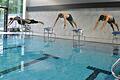 Die Bürgermeister Sebastian Hauck (rechts) und Christian Zeißner (Zweiter von rechts) zählten zu der Handvoll Mutigen, die am Freitag bei der offiziellen Wiedereröffnung des Wernecker Schulschwimmbades mit einem Kopfsprung ins Wasser und einer kleinen Schwimmeinlage das generalsanierte Hallenbad einweihten.