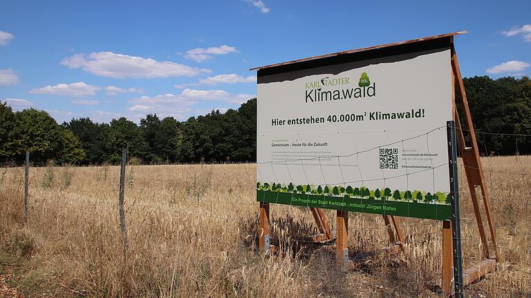 Auf einer Versuchsfläche von 40 000 Quadratmetern soll im Stettener Wald oberhalb Karlstadts ein Klimawald mit besonders trockenheitsresistenten Baumarten entstehen.