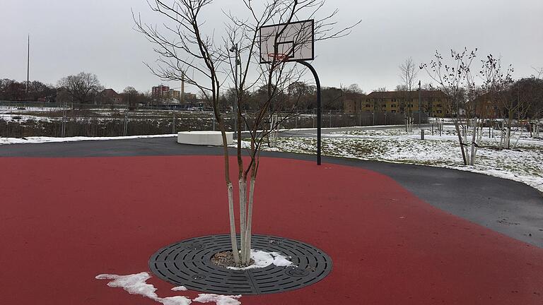 Basketball spielen in der Carus Allee erfordert ein wenig Finesse beim Dribbeln, denn es stehen nicht nur Gegner im Weg, sondern auch Bäume. Basketball spielen in der Carus Allee erfordert ein wenig Finesse beim Dribbeln, denn es stehen nicht nur Gegner im Weg, sondern auch Bäume.