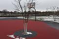 Basketball spielen in der Carus Allee erfordert ein wenig Finesse beim Dribbeln, denn es stehen nicht nur Gegner im Weg, sondern auch Bäume.
