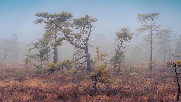Bild aus dem Monat November im Kalender 'Landschaften der Rhön 2025' - Bild aus dem Monat November im Kalender 'Landschaften der Rhön 2025' Bild aus dem Monat November im Kalender 'Landschaften der Rhön 2025' - Bild aus dem Monat November im Kalender 'Landschaften der Rhön 2025'
