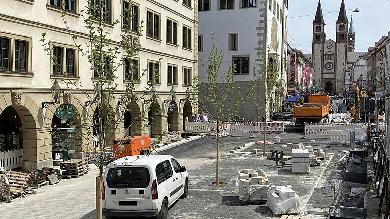 Mit der Pflanzung von drei Bäumen am Rathaus möchte Würzburg für mehr Grün in der Innenstadt sorgen.