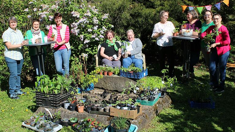 Pflanzentauchbörse mit Gartenkaffee vom Frauentreff der evangelischen Kirchengemeinde Werneck (von links): Pfarrerin Hermine Wieker, Andrea Ehrhardt, Birgit Heusler, Ute Lutz, Angela Heurung, Sabine Lösch, Anja Philipp, Anette Kuhn und Karin Maul.