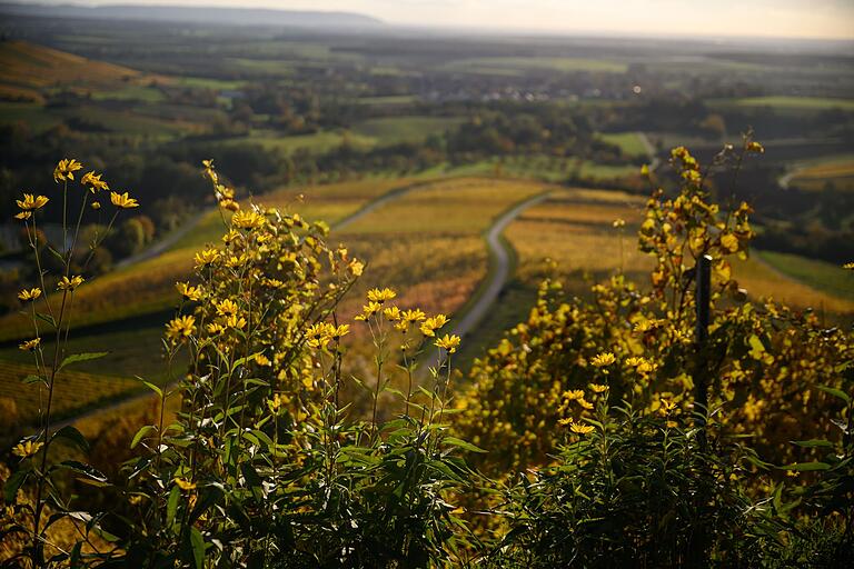 Majestätisch wirkt sie die Aussicht vom Stollberg. Gerade am späten Nachmittag, wenn die Sonne tief steht. Majestätisch wirkt sie die Aussicht vom Stollberg. Gerade am späten Nachmittag, wenn die Sonne tief steht.