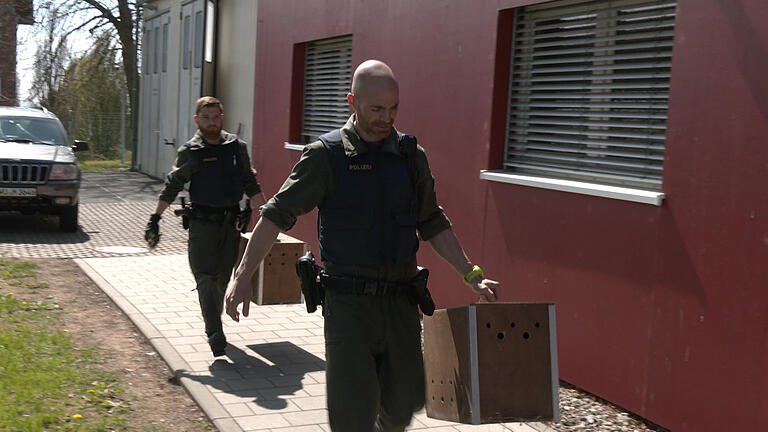 Polizisten tragen Boxen mit sichergestellten Tieren.