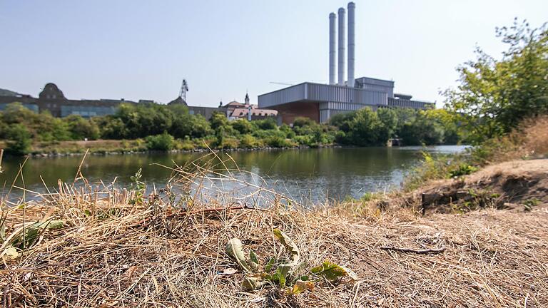 In den vergangenen Jahren gab es immer wieder anhaltende Dürre und Trockenheit in Würzburg. Eine Folge des Klimawandels?