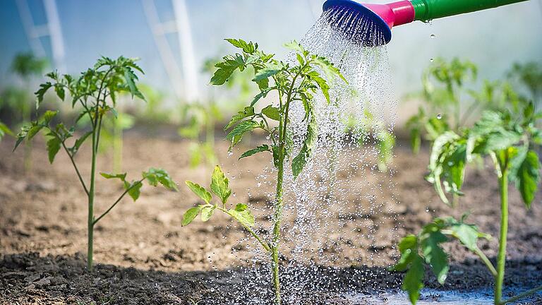 Manches Brunnenwasser im Untersuchungsraum war hoch mit Nitrat belastet. Das sollten Gartenbesitzer bei der Bemessung von Düngemengen berücksichtigen, rät der VSR-Gewässerschutz. Thinkstock