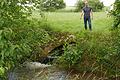 Im Jahresdurchschnitt fließen rund eine Million Kubikmeter Wasser durch die Verbandskläranlage in Unterpleichfeld. Roland Keller plädiert dafür, das gereinigte Wasser nicht in die Pleichach abzulassen (im Bild), sondern es für die Bewässerung der Felder zu nutzen.