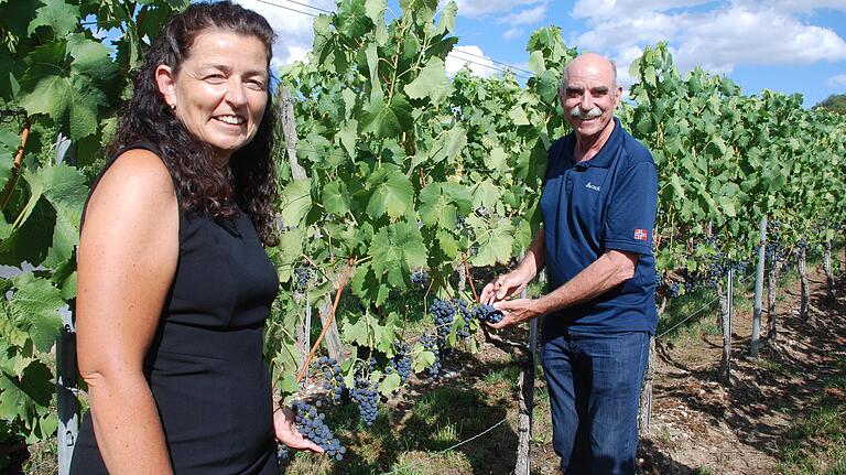 Christine Haupt-Kreutzer (stellvertretende Landrätin) und Artur Steinmann (Präsident des fränkischen Weinbauverbandes) trafen sich im Sommerhäuser Weinberg, um über die schwierige Lesesituation wegen Corona zu reden. Christine Haupt-Kreutzer (stellvertretende Landrätin) und Artur Steinmann (Präsident des fränkischen Weinbauverbandes) trafen sich im Sommerhäuser Weinberg, um über die schwierige Lesesituation wegen Corona zu reden.