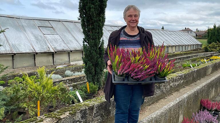 Noch einige Tage verkauft die Gärtnerei Gräb in Gerolzhofen Blumen und Gestecke. Zum Monatsende aber ist für Inge Gräb-Fischer Schluss, nach 49 Arbeitsjahren. Sie geht in Ruhestand und sperrt die Türen des Traditionsbetriebs zu.