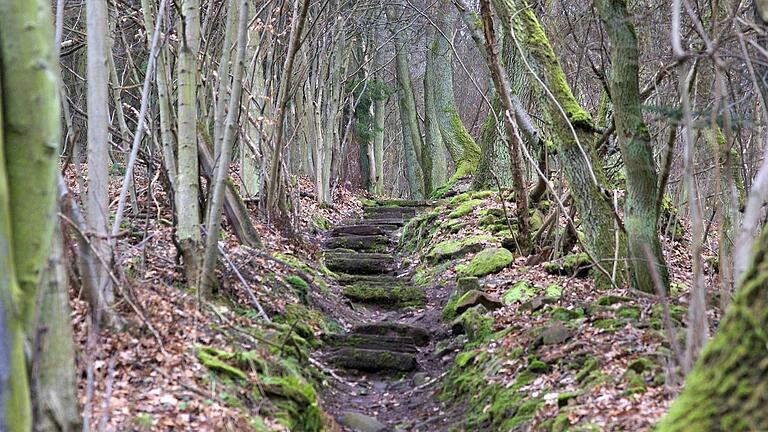 Mit Bewegung ins neue Jahr: Der Wanderverein in Gemünden lädt zur Tour ein.&nbsp;&nbsp;