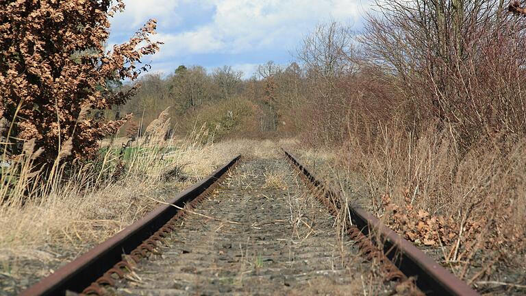 Der VCD und der Förderverein Steigerwald-Express plädieren erneut dafür, die stillgelegte Strecke der Steigerwaldbahn (hier bei Gerolzhofen) für den Personennahverkehr zu reaktivieren. Der VCD und der Förderverein Steigerwald-Express plädieren erneut dafür, die stillgelegte Strecke der Steigerwaldbahn (hier bei Gerolzhofen) für den Personennahverkehr zu reaktivieren.