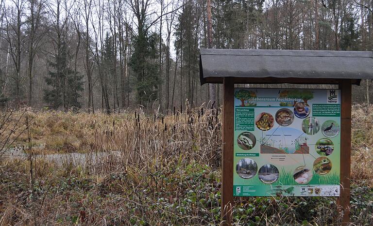 Am Feuchtbiotop in der Ermershäuser Waldabteilung Hügel informiert jetzt eine Tafel Wanderer und Spaziergänger über diesen Lebensraum. Am Feuchtbiotop in der Ermershäuser Waldabteilung Hügel informiert jetzt eine Tafel Wanderer und Spaziergänger über diesen Lebensraum. 