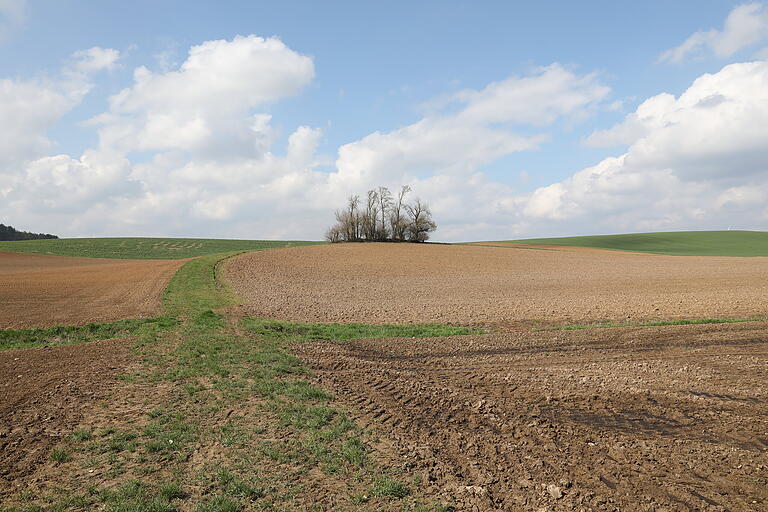 Rings um das kleine Wäldchen in einem Seitental bei Duttenbrunn liegt die 'Wüstung Seehausen'.