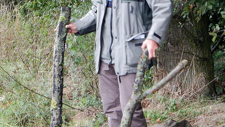 Gefahr auch für den Wanderer. Stephan Thierfelder zeigte Äste, die aus den Kronen der Buchen gefallen waren.