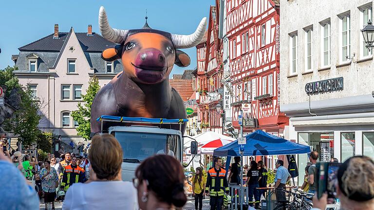 Die 'Ochsen-Parade' mit einem fünf Meter großen aufblasbaren Ochsen zog schon zu Beginn des Ochsenfests die Besucherinnen und Besucher in Scharen an.