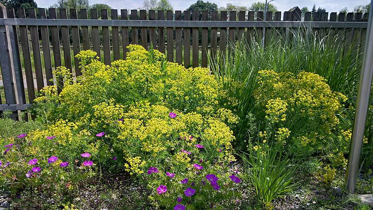 Der Naturschaugarten in Himmelstadt. Der Naturschaugarten in Himmelstadt.
