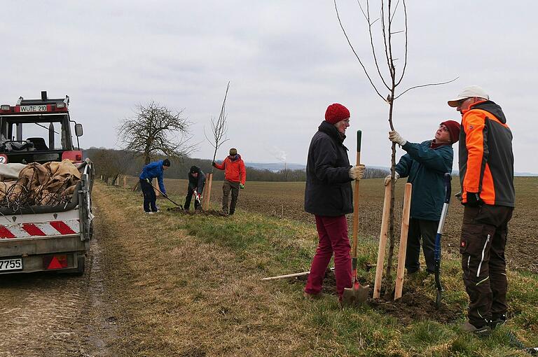 In der Nähe des Guts Gieshügel bei Gerbrunn wurden vom Obst- und Gartenbauverein und von der Ortsgruppe BUND Naturschutz 25 weitere Naschbäume gepflanzt.