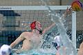 Wasserball, Bundesliga, SV Würzburg 05 - SV Poseidon Hamburg       -  Trug mit etlichen Paraden zum Sieg über Poseidon Hamburg : Benjamin Flammersberger, Torwart des SV Würzburg 05 (hier im Spiel gegen die Hanseaten 2017).