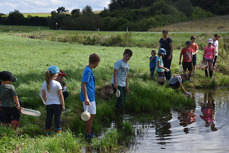 In kleinen Gruppen wurde mit Sieben der Gewässerrand durchsucht, um kleine Wasserlebewesen zu erforschen