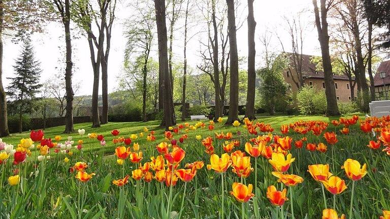 Besonders attraktiv ist der Besuch des Schlossparks natürlich, wenn dort verschiedene Blumen leuchten.