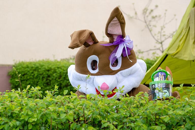 Was spitzt denn da hinter dem Busch hervor? Das ist doch der Osterhase.