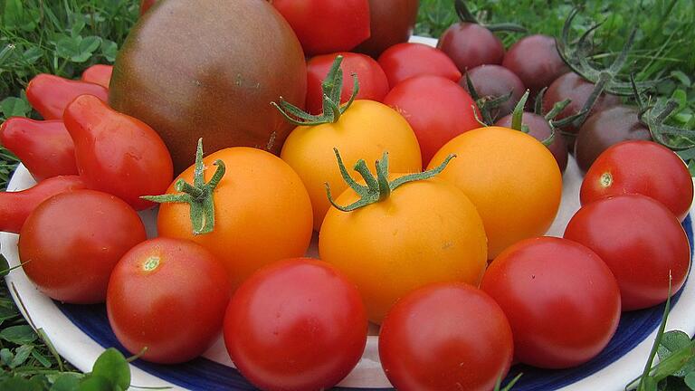 Im Sommer dann reiche Ernte: ein bunter Tomatenteller von Astrid Späth.