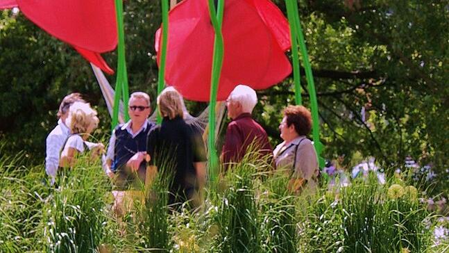 Menschen auf der Gartenschau war der Titel eines Fotowettbewerbs, der die Kleine Gartenschau begleitet hat. Der Klatschmohn auf der Mondseeinsel war so etwas wie der Star der Gartenschau und auf zig Motiven zu finden. Das Foto hatte Eddi Kieser gemacht und es gibt die Stimmung während der 87 Tage wieder. Menschen auf der Gartenschau war der Titel eines Fotowettbewerbs, der die Kleine Gartenschau begleitet hat. Der Klatschmohn auf der Mondseeinsel war so etwas wie der Star der Gartenschau und auf zig Motiven zu finden. Das Foto hatte Eddi Kieser gemacht und es gibt die Stimmung während der 87 Tage wieder.