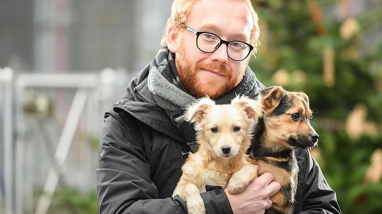 'Wir müssen neue Hundebesitzer erst kennenlernen, bevor wir ein Tier abgeben. Hund und Halter müssen ja zusammenpassen', sagt Tierpfleger Maxim Jochim, der im Würzburger Tierheim am Elferweg arbeitet.&nbsp;&nbsp;