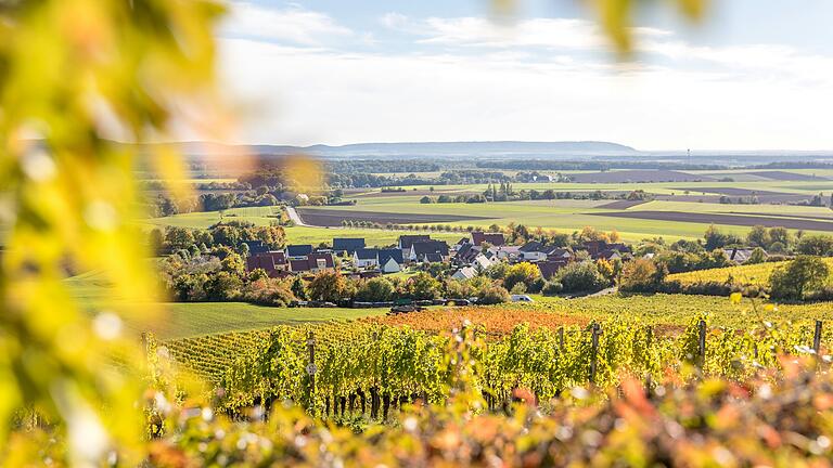 Der Wanderweg „Ums Mahlholz“ rund um Gerolzhofen verspricht Panoramablicke über die Steigerwaldlandschaft und abwechslungsreiche Natur.